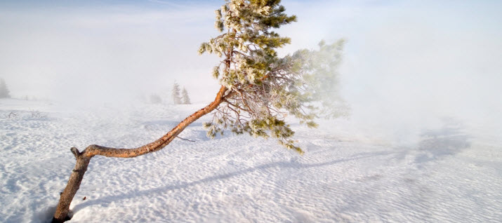 Gode skiforhold på Blefjell