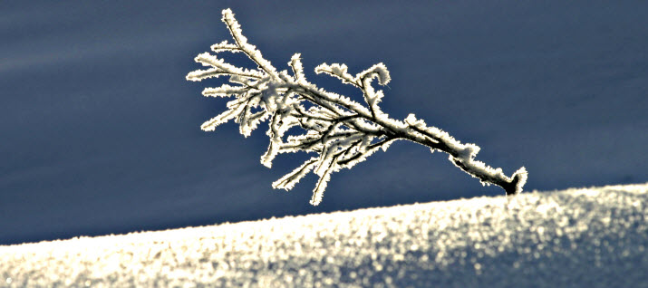 Vinter frost på Blefjell