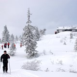 Planlegg høst og vinter nå